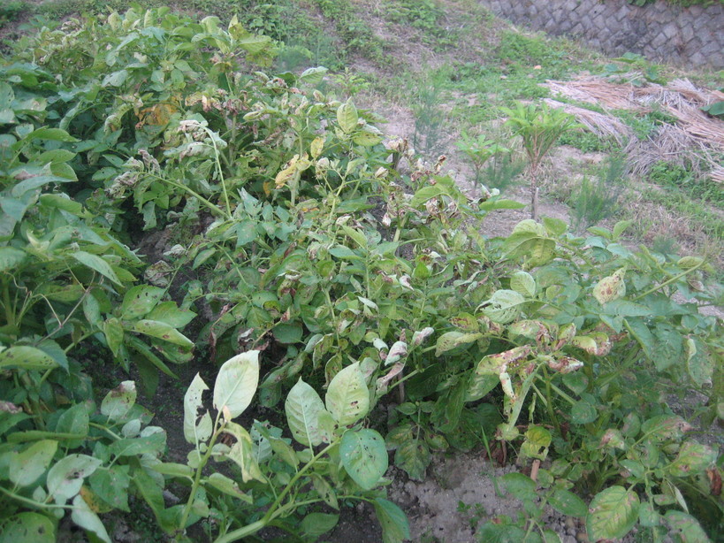 ����Ȃ��ƁE����Ȃ���