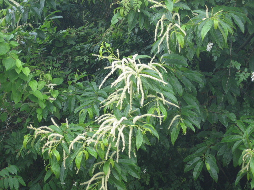 ����Ȃ��ƁE����Ȃ���