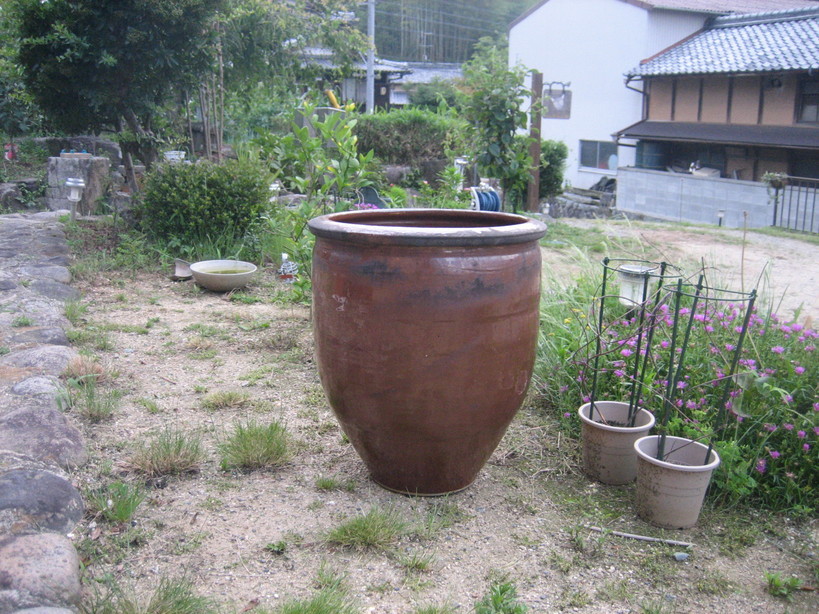 ����Ȃ��ƁE����Ȃ���