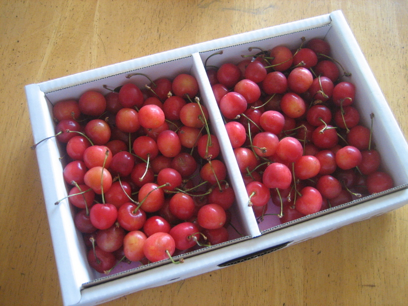 ����Ȃ��ƁE����Ȃ���