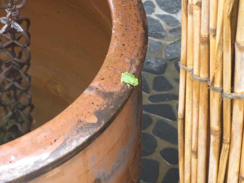 ����Ȃ��ƁE����Ȃ���