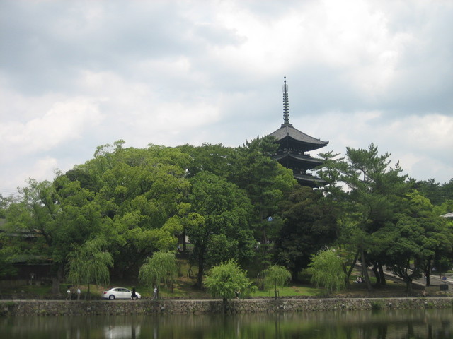 ����Ȃ��ƁE����Ȃ���