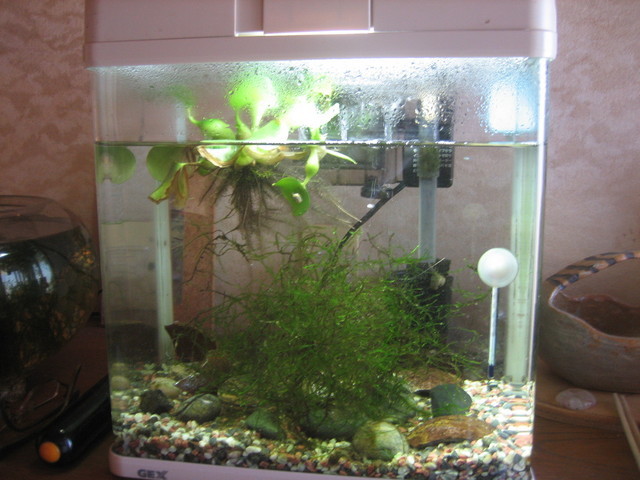 ����Ȃ��ƁE����Ȃ���