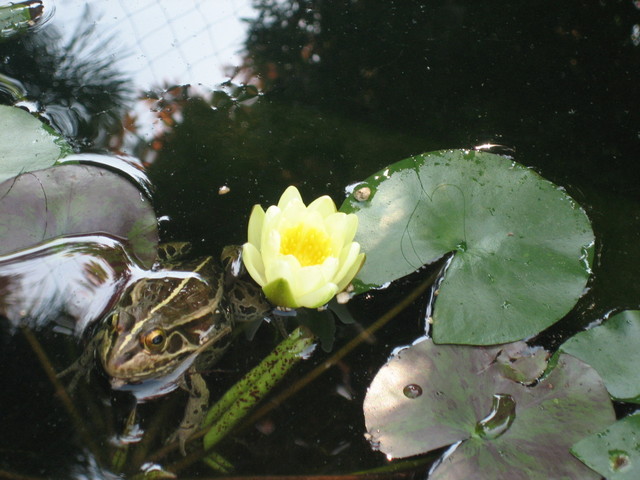 ����Ȃ��ƁE����Ȃ���