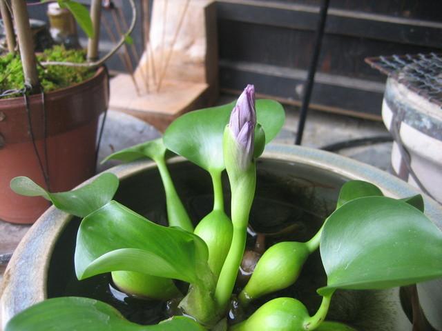 ����Ȃ��ƁE����Ȃ���