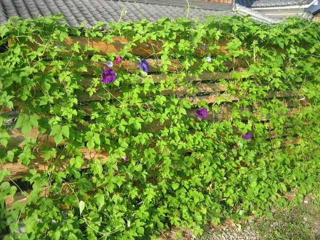 ����Ȃ��ƁE����Ȃ���