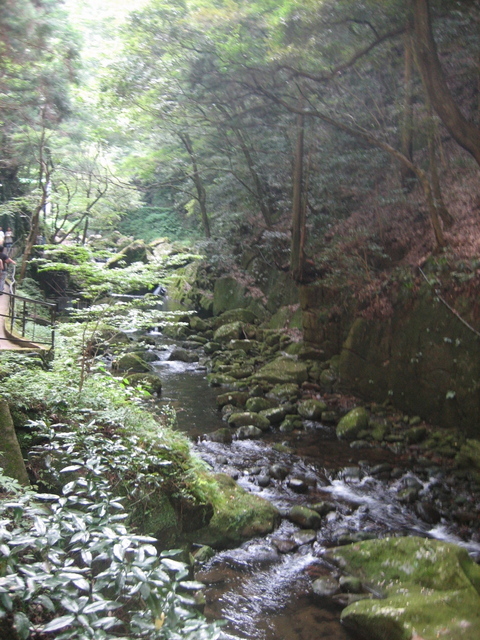 ����Ȃ��ƁE����Ȃ���