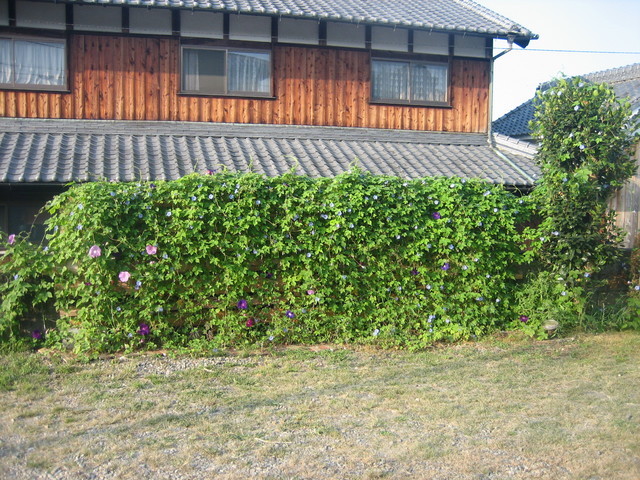 ����Ȃ��ƁE����Ȃ���