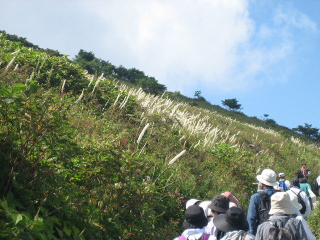 ����Ȃ��ƁE����Ȃ���