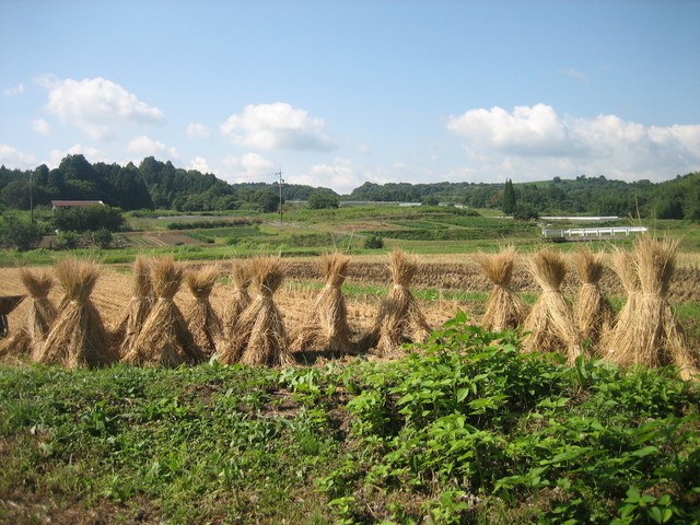 ����Ȃ��ƁE����Ȃ���