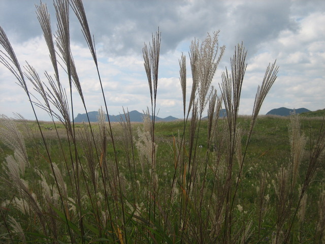 ����Ȃ��ƁE����Ȃ���