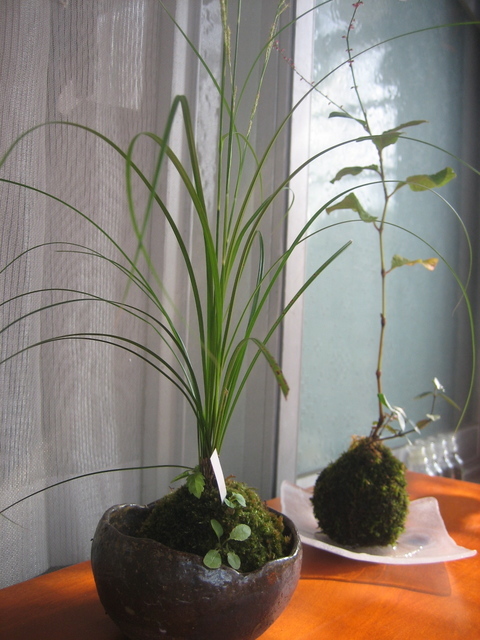 ����Ȃ��ƁE����Ȃ���