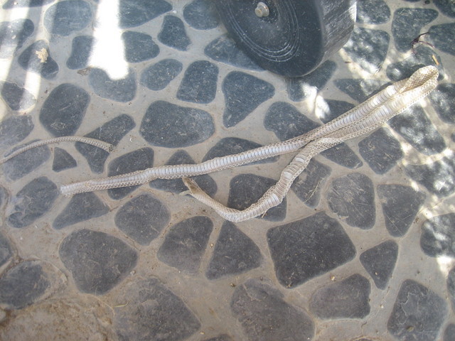 ����Ȃ��ƁE����Ȃ���