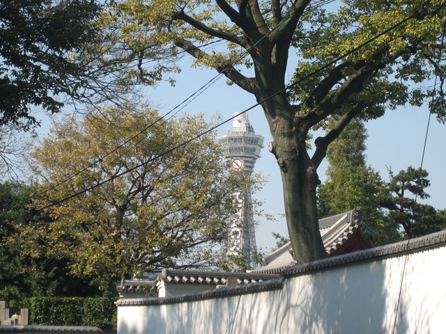 ����Ȃ��ƁE����Ȃ���