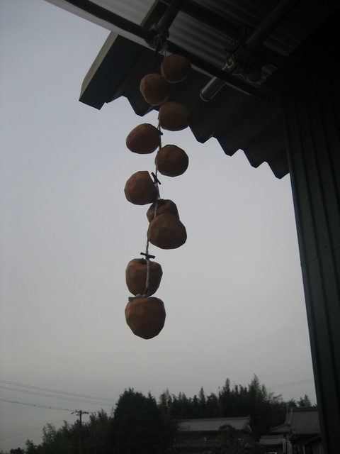 ����Ȃ��ƁE����Ȃ���