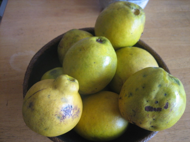 ����Ȃ��ƁE����Ȃ���