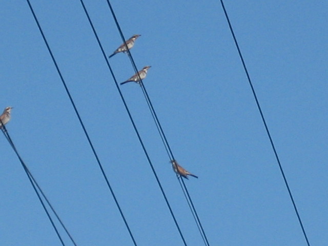 ����Ȃ��ƁE����Ȃ���