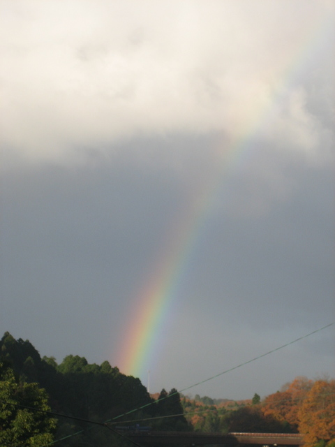 ����Ȃ��ƁE����Ȃ���