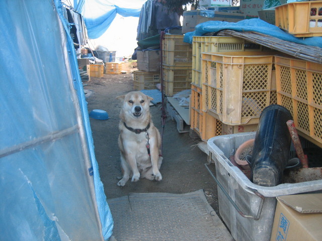 ����Ȃ��ƁE����Ȃ���