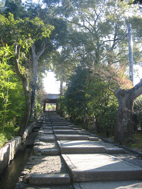 ����Ȃ��ƁE����Ȃ���