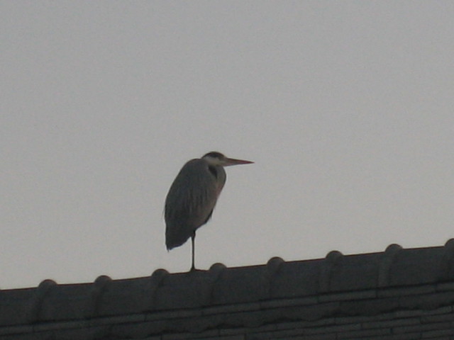 ����Ȃ��ƁE����Ȃ���