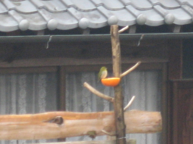 ����Ȃ��ƁE����Ȃ���