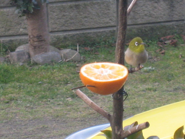 ����Ȃ��ƁE����Ȃ���