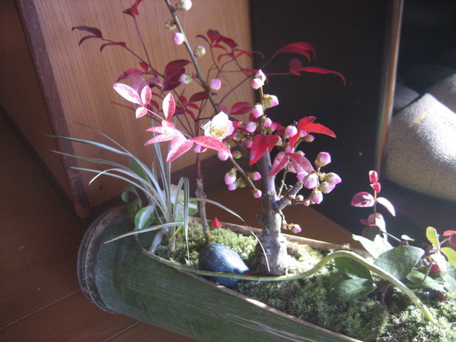 ����Ȃ��ƁE����Ȃ���