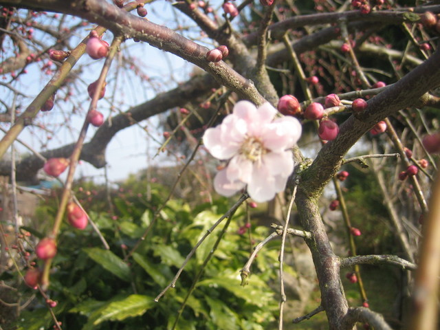 ����Ȃ��ƁE����Ȃ���