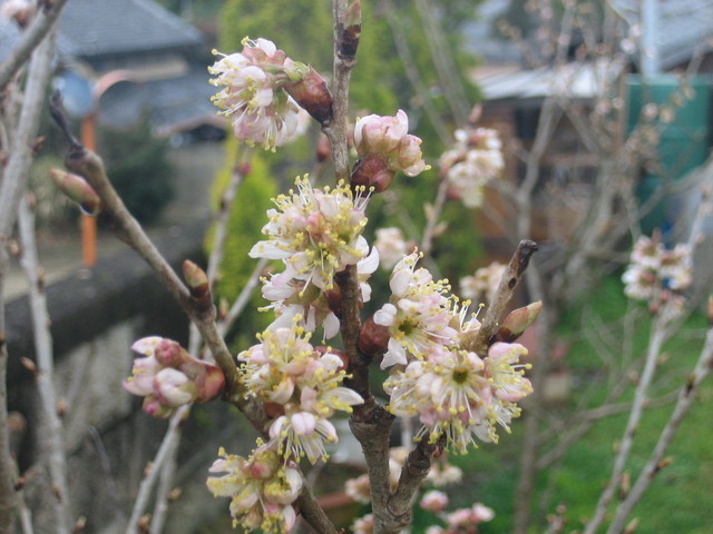 ����Ȃ��ƁE����Ȃ���