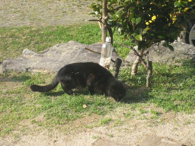 ����Ȃ��ƁE����Ȃ���