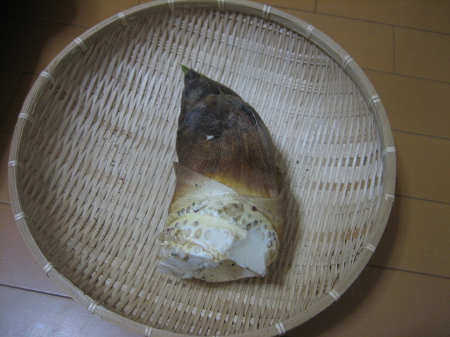 ����Ȃ��ƁE����Ȃ���