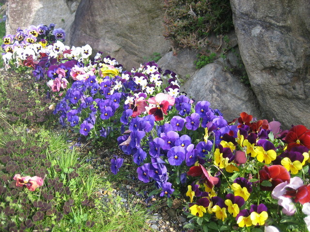 ����Ȃ��ƁE����Ȃ���