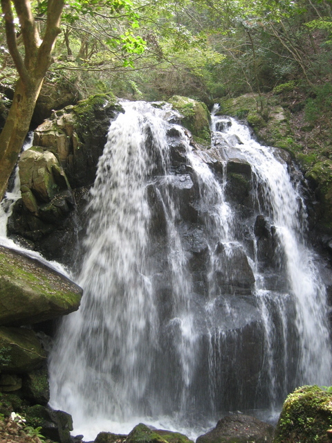 ����Ȃ��ƁE����Ȃ���