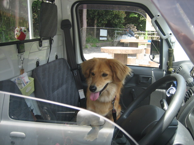 ����Ȃ��ƁE����Ȃ���