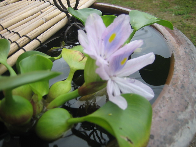 ����Ȃ��ƁE����Ȃ���