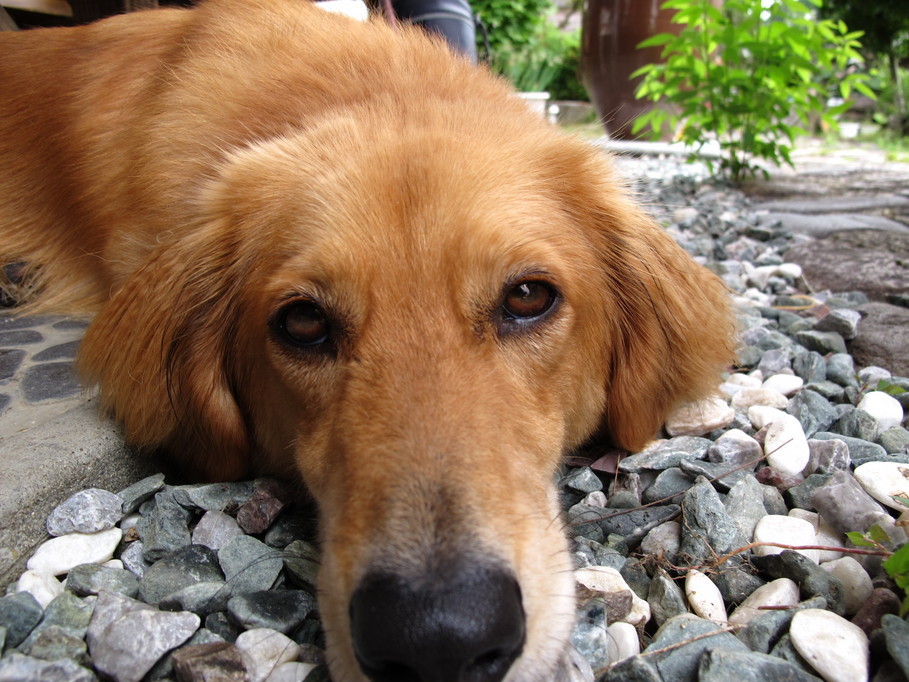 ����Ȃ��ƁE����Ȃ���