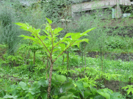 ����Ȃ��ƁE����Ȃ���