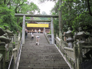 ����Ȃ��ƁE����Ȃ���