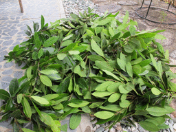 ����Ȃ��ƁE����Ȃ���