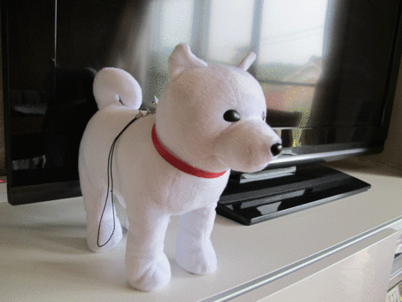 ����Ȃ��ƁE����Ȃ���