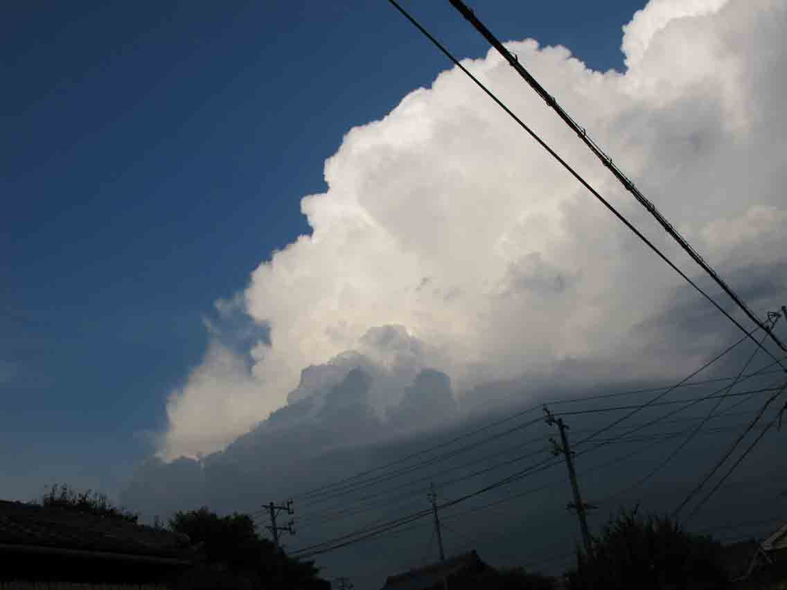 ����Ȃ��ƁE����Ȃ���