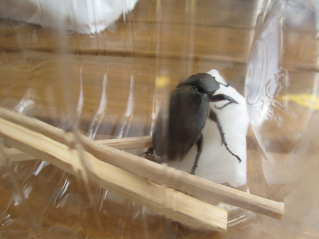 ����Ȃ��ƁE����Ȃ���