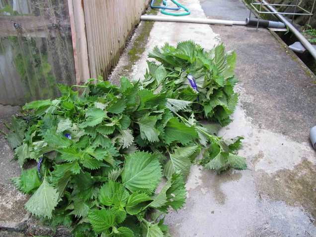 ����Ȃ��ƁE����Ȃ���