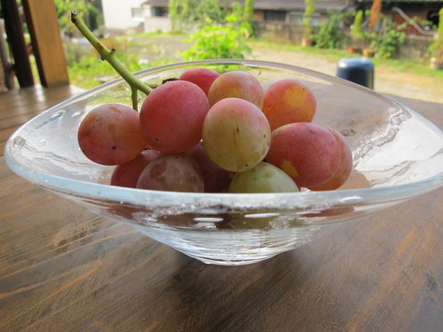 ����Ȃ��ƁE����Ȃ���