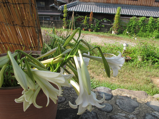 ����Ȃ��ƁE����Ȃ���