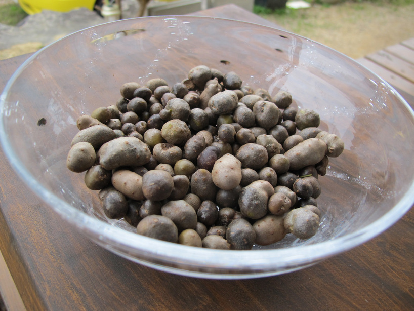 ����Ȃ��ƁE����Ȃ���