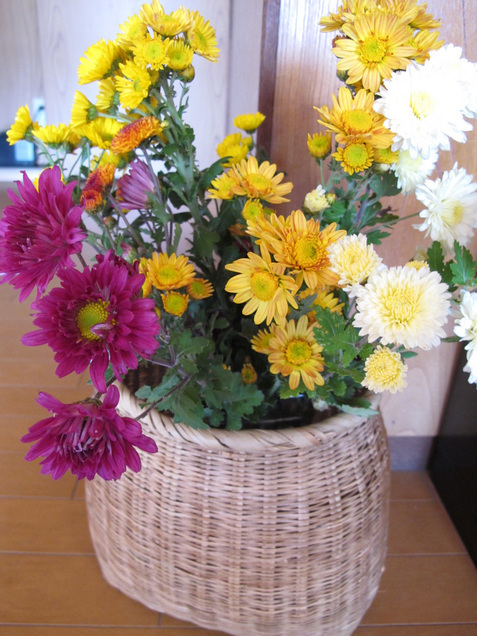 ����Ȃ��ƁE����Ȃ���