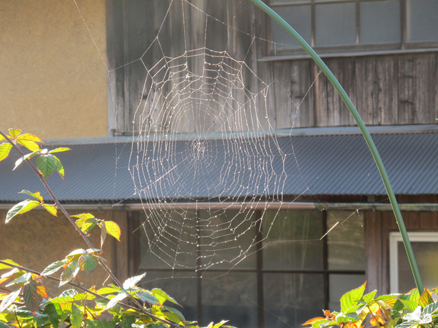 ����Ȃ��ƁE����Ȃ���