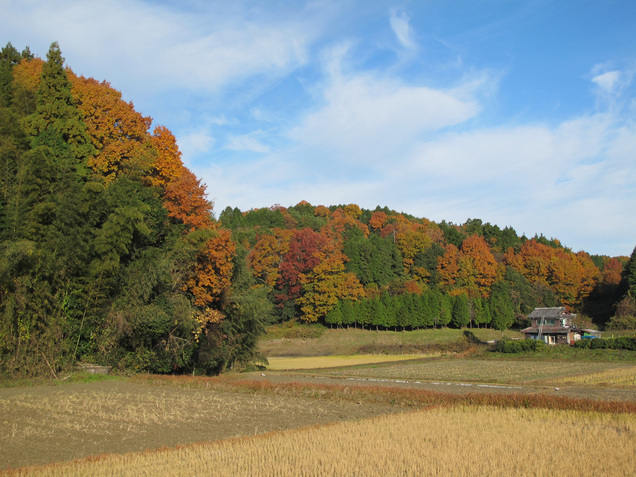 ����Ȃ��ƁE����Ȃ���